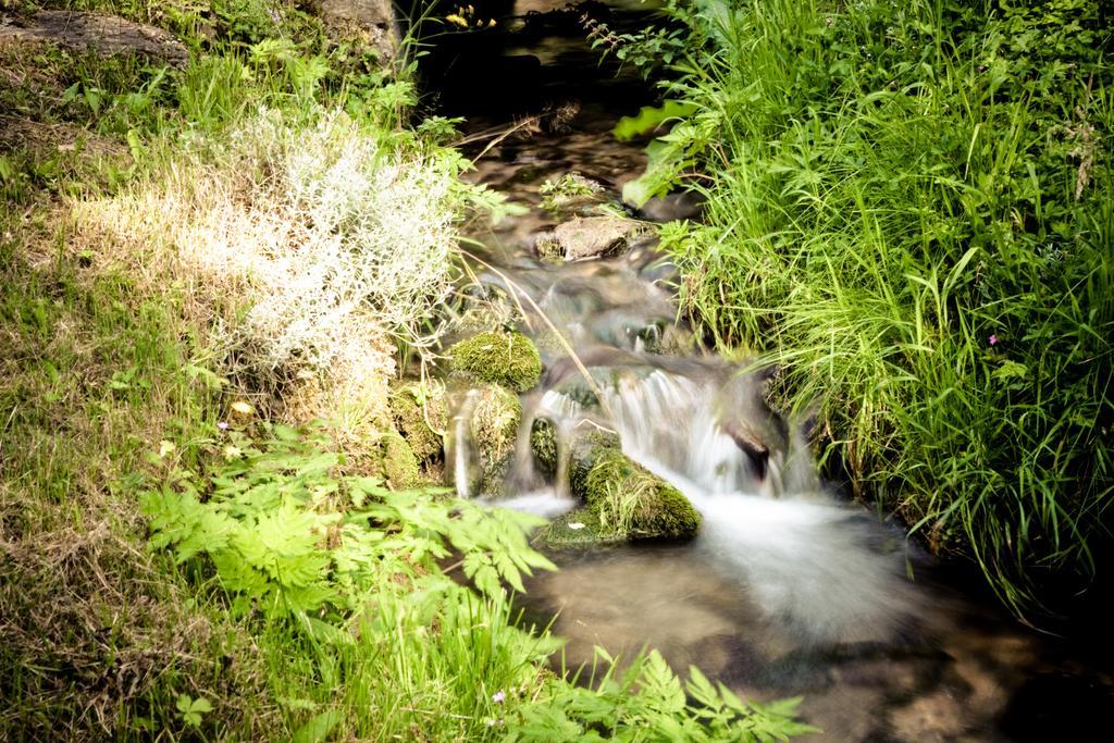 Vailly Auberge Du Moulin De Lere מראה חיצוני תמונה